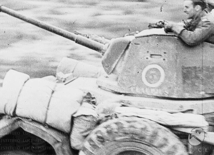 ATTUALITA\GP53\A00171626.JPG